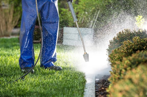 Cost of Curb Cleaning in Pleasant Grove