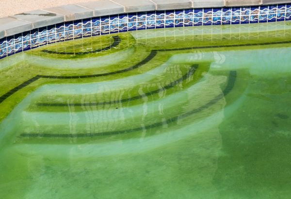 Pool Deck Algae Removal in Pleasant Grove