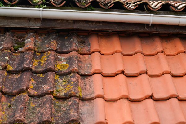 Industrial Roof Cleaning in Pleasant Grove