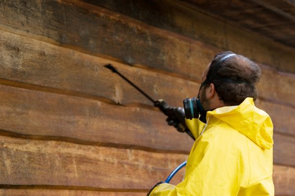 Cedar Siding Washing in Pleasant Grove