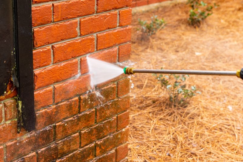 Brick Walkway Cleaning